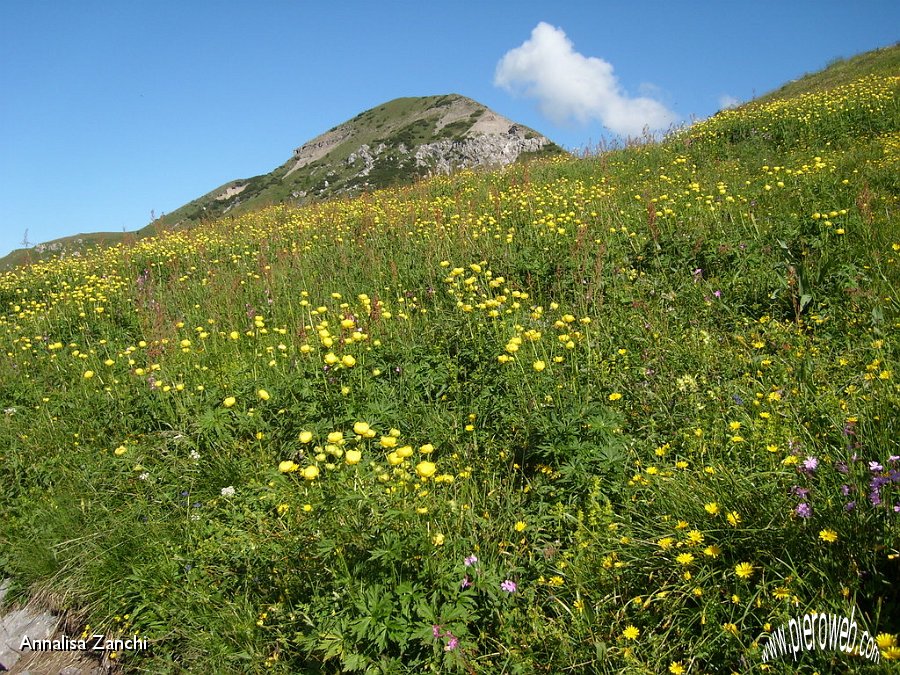 07 Sodadura tra prati in fiore.JPG